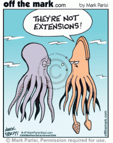 <p>
	Octopus denies tentacles are extensions.</p>
