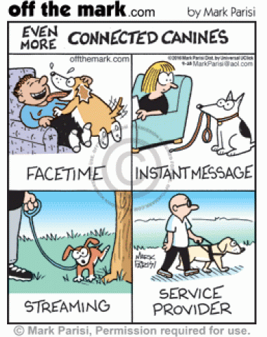 <p>
	Dogs exhibit tech behaviors with Facetime, instant messaging, streaming, and service providers.</p>
