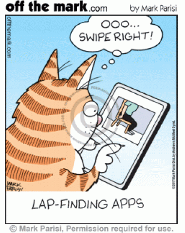 Cat swipes right for good laps in lap-finding app.