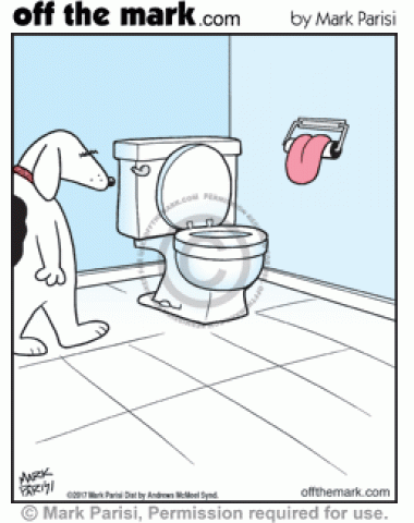 Dog has tongue in bathroom to wipe with instead of toilet paper.