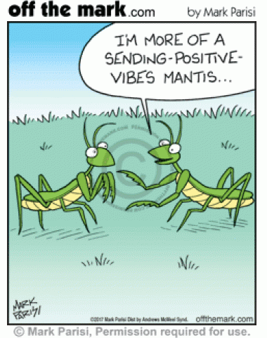 Rather than praying, praying mantis prefers the non-denominational sending-positive-vibes mantis.