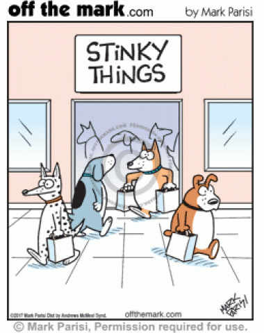 Dogs shop at the Stinky Things store.