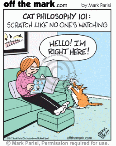 Cat Philosophy - off the mark cartoons