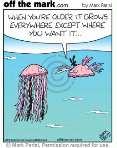 Jellyfish complains about tentacles as he ages. 