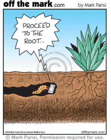 Grub uses GPS directions on his smartphone to find roots underground.