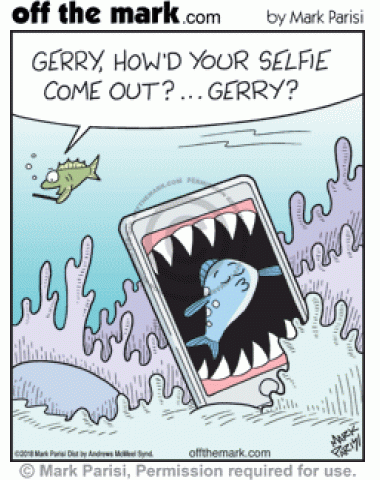 Fish is eaten by shark while taking a selfie. 