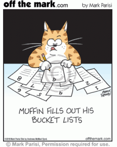 Cat fills out bucket lists for nine lives.