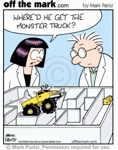 Researchers wonder where mouse in maze got a monster truck.