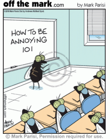 Flies in classroom learn how to be annoying.