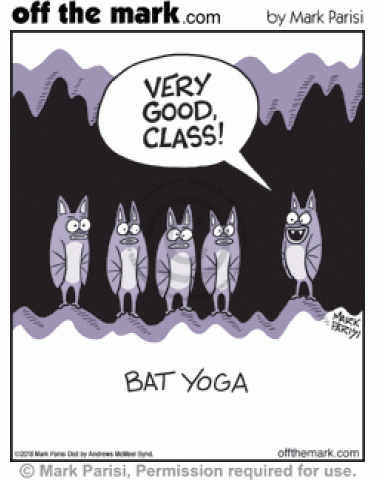 Upside Down Bat Yoga Class - off the mark cartoons