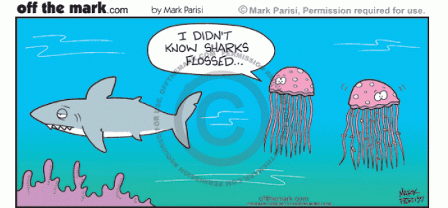 Jellyfish pair are surprised after shark used their tentacles to floss his teeth.