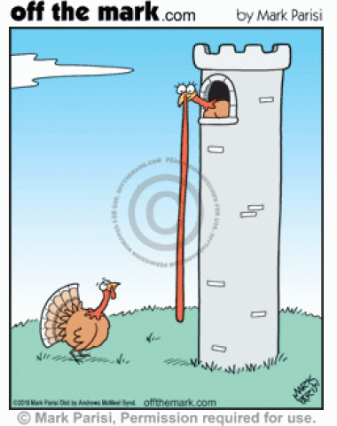 Turkey Rapunzel lowers her long wattle to be rescued from tower.