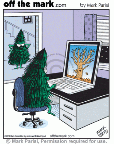 Christmas tree on laptop is caught by wife looking at internet porn of naked tree with no leaves.
