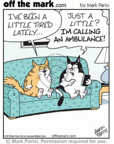 Cat says only been a little tired lately so other cat with smartphone calls 911 for an ambulance.