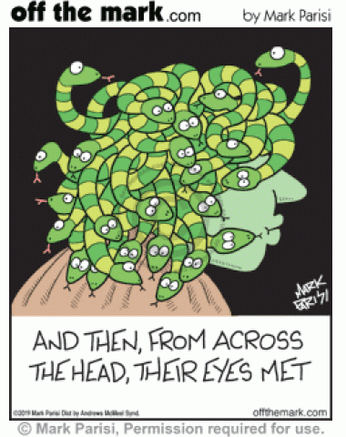 Snakes fall in love when eyes meet from across Medusa’s snake hair head.