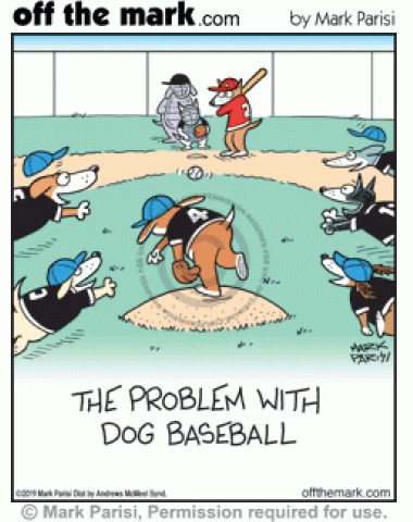Dog baseball team players all chase ball when pitcher throws it to batter.