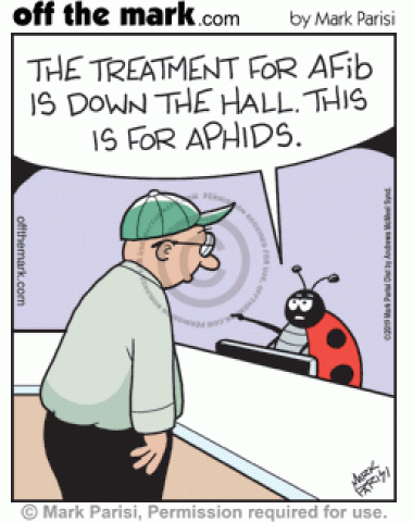 Ladybug medial receptionist tells man that office is for aphids, treatment for AFib, irregular heartbeat, is down the hall.