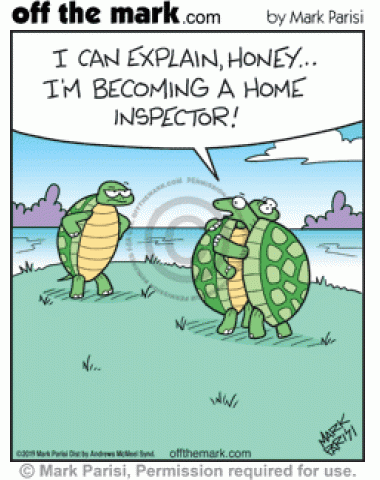 Cheating Turtle's Home Inspector Infidelity Excuse - off the mark cartoons