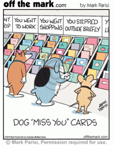 Dog Miss You Greeting Card Store - off the mark cartoons