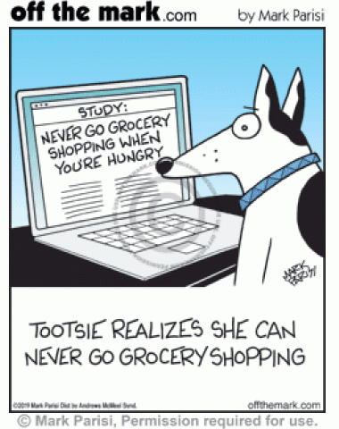 Dog reads online article on laptop saying not to go grocery shopping hungry and realizes it can never go.