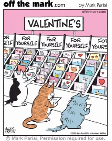Self-centered cats shop in greeting cards store for Valentine’s for themselves.