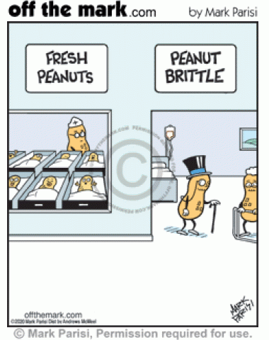 Newborn infant peanuts are fresh peanuts while elderly Planter’s Mr. Peanut is in peanut brittle hospital room.