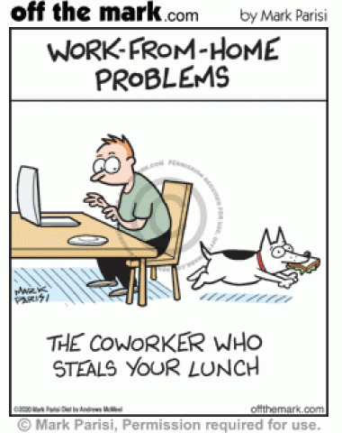 Sneaky dog coworker runs off stealing owner’s lunch in working from home problems.