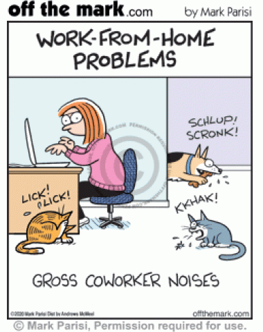 Pet owner’s disgusting cat barf and dog slobber coworker noises are a working from home problem.