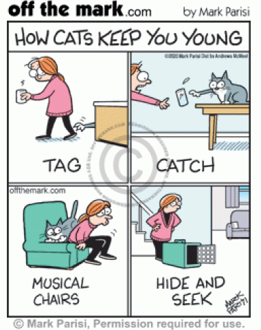 Cats keep owners youthful playing frustrating games like claw tag, glass catch, musical chairs and pet carrier hide & seek.