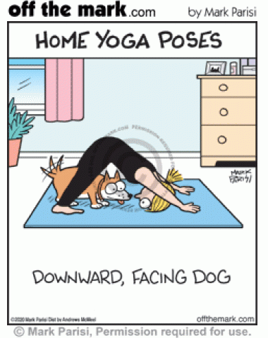 Upside down woman in downward dog yoga pose faces happy dog underneath on yoga mat. 