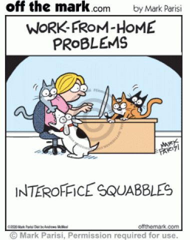 Telecommuting worker is stuck in middle between squabbling cat and dog coworkers fighting.