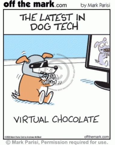 Dog in virtual reality headset eats toxic chocolate virtually in computer video game.