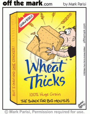 Huge grains Wheat Thicks brand snack crackers for big mouths parody is too big to chew.