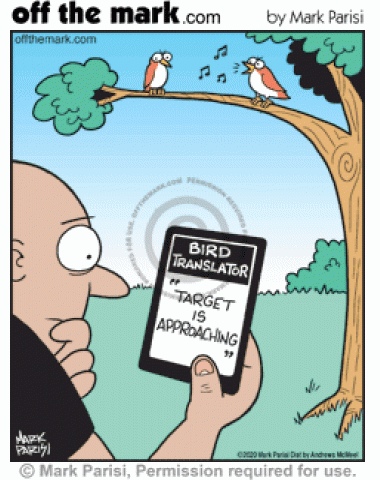 Birdwatcher on smartphone bird translator app reads target approaching as singing birds prepare to poop.
