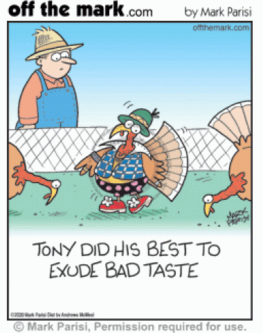 Thanksgiving turkey on farm wears tasteless ugly clothing to avoid being eaten.