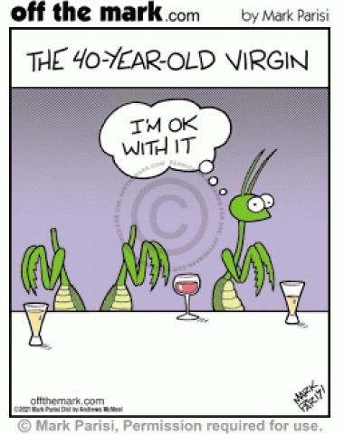 Male middle aged preying mantis insect at bar prefers virginity & sexual abstinence to head loss sex.
