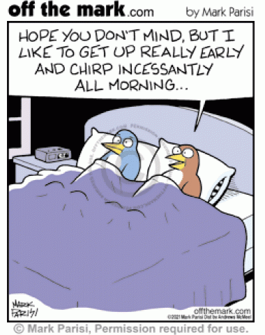 Bird in bed warns mate it likes to get up early and chirp incessantly all morning.