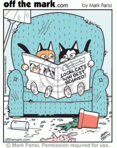 Naughty cats destroy house but win newspaper best behaved cat award.
