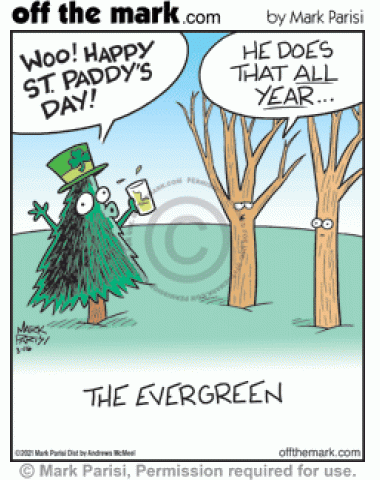 Bare branch deciduous tree complains drunk evergreen pine celebrates St. Patrick’s Day all year.