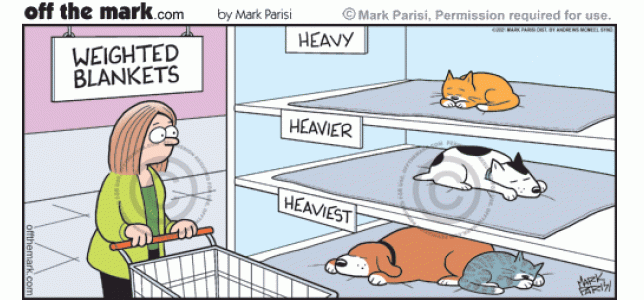 Customer shops heavy, heavier & heaviest cat & dog sleeping pet weighted blanket selection.