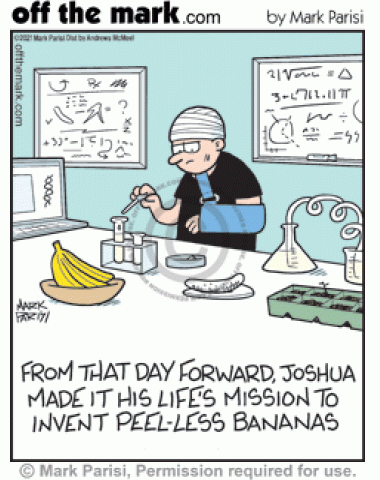 After slipping on fruit peel, injured man in science lab’s life mission is to invent peel-less bananas.