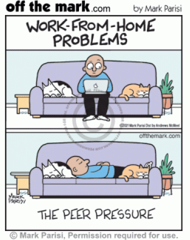 Pet Nap Peer Pressure Work From Home Problem - off the mark cartoons