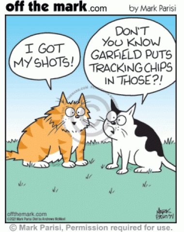 Cat says it got vet shots but hesitant cat believes crazy Garfield tracking chip vaccination lies.