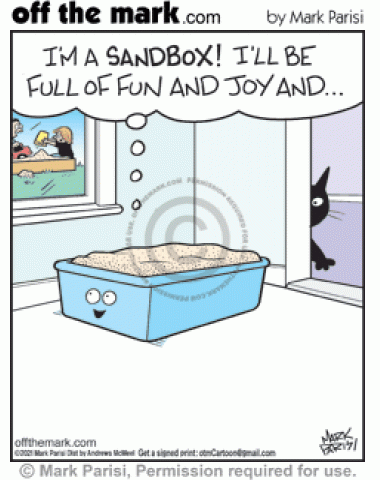 New litter box hopes for fun sand box life but cat poop disappointment is its fate.