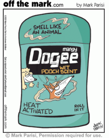 Spoof gross wet dog scent Dogree antiperspirant for smelly sweaty dogs.