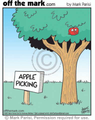 Nasty apple on tree picks snot nose boogers by fall apple picking orchard sign.