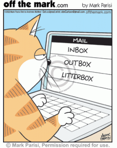 Cat on laptop sorts emails into inbox, outbox & litter box poop trash messages file folders.