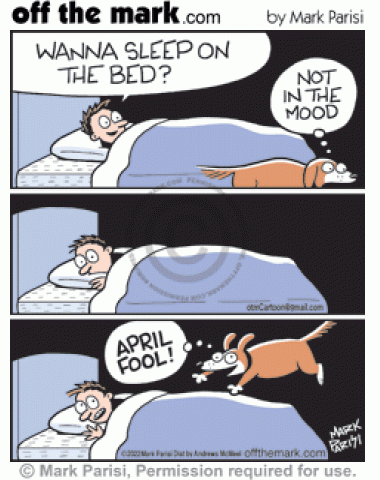 Funny Bedtime April Fools Day Dog Joke - off the mark cartoons