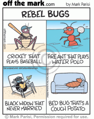 Rebellious cricket prefers base ball, fire ant plays in pool, never married spider relaxes & bed bug naps on sofa.