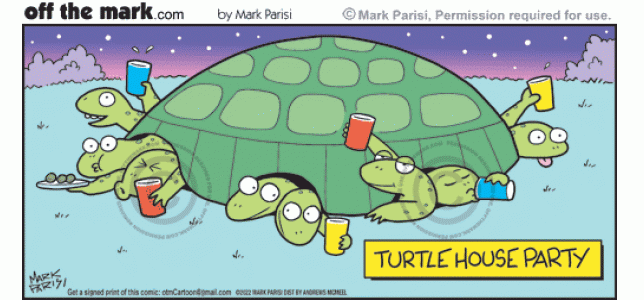 Rowdy reptile turtles crowded inside tortoise shell house party drink beer keg cups and flirt.